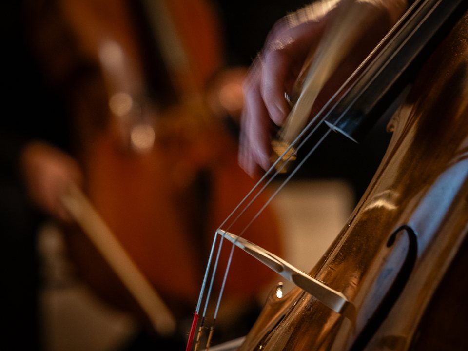 Cello-Nahaufnahme