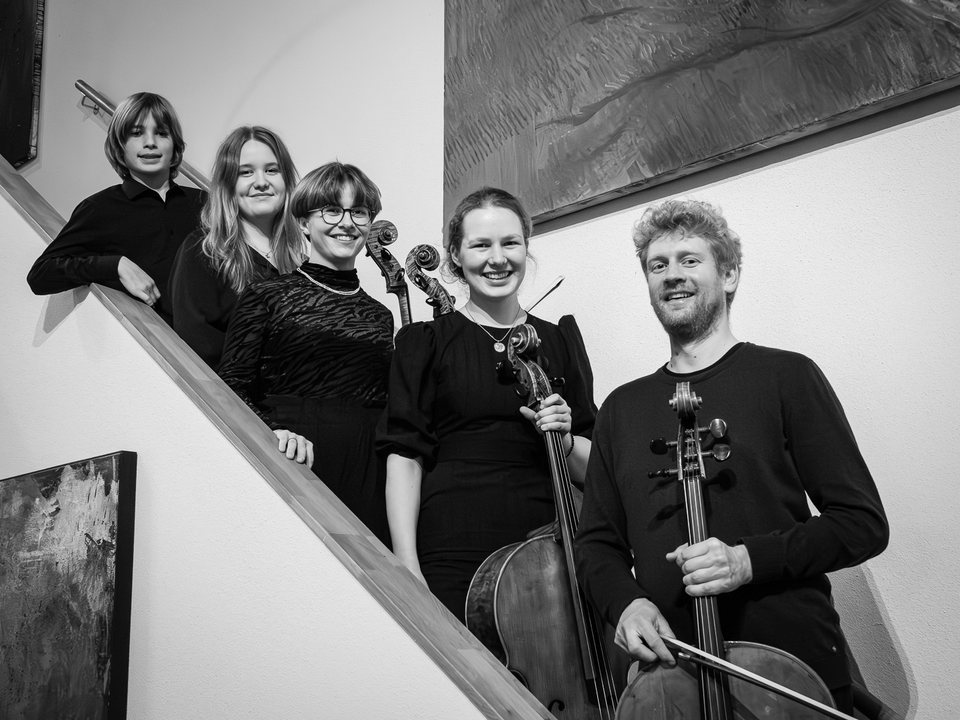 Cellonest-Ensemble auf der Treppe
